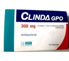 DRUG: CLINDA GPO (CLINDAMYCIN CAPSULE 300MG)